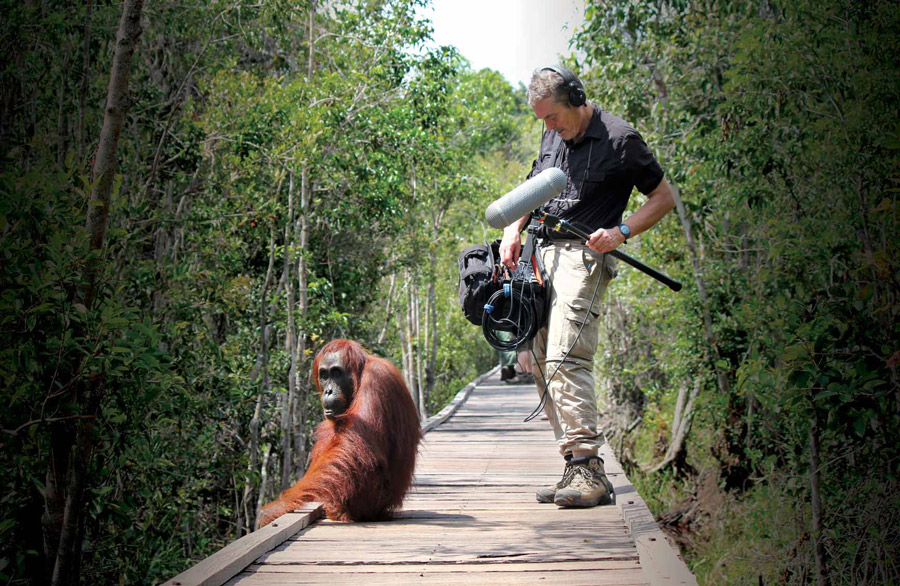 Craig Carter's recordings immortalised in new collection IF Magazine